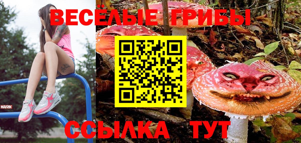 Псилоцибиновые грибы ЛСД  Вход с VPN  Мурманск 