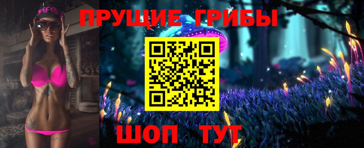 Псилоцибиновые грибы Psilocybe Мурманск